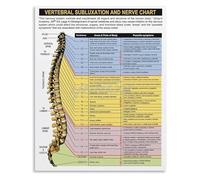 XHAJCSJWGD Educational Metal Sign Human Spine Anatomy Vertebral Column Nerve Pathways Chart for Biology Study Classroom 8 X 12 in