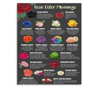 XHAJCSJWGD Rose Color Meanings Chart Floral Language Reference Victorian Era Symbolism Garden Room Botanical Decor(Unframed,12x18inch(30x45cm))