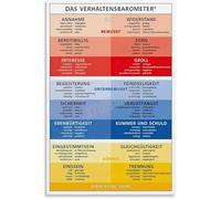 XHAJCSJWGD Trauma Informed Care Poster Emotional Regulation Coping Skill Ladder Canvas Wall-Art For Foster Care Agency Home Office Decor(Framed,12x18inch(30x45cm))