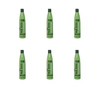 XHC Tea Tree Moisturising Hair Conditioner, Nourishing, Frequent Use, 400ml, Pack of 6