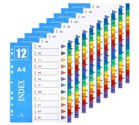 XHDA J-D Part Dividers A4, 10 Pack Multi-Colour Plastic A4 Index Folder Subject Dividers, 11-Holes Lever Arch Files Dividers Ring Binders for Office School
