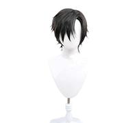 XHSDOZD Anime Cosplay Wig，86 Eighty Six Shinel Nozen Wig，Black short Wig，with Free Wig Cap，for Christmas Carnival party Halloween Cosplay Wig