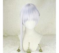 XHSDOZD Anime Cosplay Wig,SINoALICE Snow White Wig,Silver gray Wig,with Free Wig Cap,for Christmas Carnival party Halloween Cosplay Wig