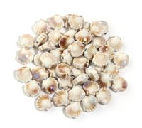XHYXWN 20 Pcs 12 Mm Retro Smudged Shell Ceramic Beads, Glazed Ceramic Loose Beads, for DIY Bracelet Necklace Pendant Jewelry Making