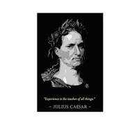 XIAGN Julius Caesar Political Celebrity Quotes Poster Canvas Poster Bedroom Decor Landscape Office Room Decor Gift 12x18inch(30x45cm)