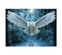 XiangJunly 5D DIY Diamond Art Painting Kits Full Drill for Kids Adults,Rhinestone Embroidery Crystal Cross Stitch Arts and Crafts Canvas Painting by Numbers as Gifts for Home Wall Decor (Owls)