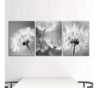 XIANGPEIFBH 3pcs Decor Painting Modern Black and White Dandelion Room Decoration Painting Retro Home Decoration Nostalgic Art Mural(50x70cm(20x28inch) x3/Inner-Frame)