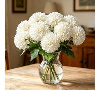 XIANNVXI 12 Pcs Champagne Colour Artificial Chrysanthemum Flowers Ball with Stems Box,Decorative Fake Faux Chrysanthemum Plants Foam Flowers for Indoor Outdoor Home Office Decor Floral Arrangement