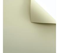 Xiao Hua matte solid color paper thickened opaque flower packaging paper, single color candy colored Eurasian paper, bouquet packaging paper (light green)