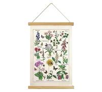 XIAOAIKA Flowers and Plants Poster Wall Art Prints HD Vibrant Colorful Rustic Style of Floral Wall Hanging Illustrative Reference Flower Chart Poster with Wooden Frame for Living Room Office Bedroom