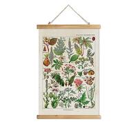 XIAOAIKA Vintage Botany Poster with Wooden Frame, Antique Poisonous Plants Chart - Botanical Educational Art with Dangerous Species - Retro-Style Wall Hanging for Home Classroom Decor 16 x 23 Inches
