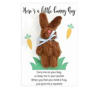 XIAOBAN Bunny Pocket Hug, Handmade Positive Pocket Hug Rabbit with Greeting Cards, Inspirational Plush Doll Ornament for Easter Basket Stuffers (Coffee)