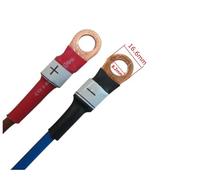 XIAOCLI 3.65V 20A Lifepo4 Battery Fast Charger 3.2V 3.3V 20A For 1S 100AH 200AH Iron Phosphate LFP Bateria Cell Charger(Copper Nose,3)