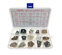 Xiaojikuaipao Sedimentary Rock Specimen Rock Collection Real Stone Teaching Aid Ages 8 Up