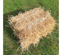 XIAOLAN Haystack Decorative Hay Bale, Square or Round, Natural, 50 * 40 * 30cm, for Wedding Shooting Props and Scene Layout, Original Ecology Villa Farm, 1 Unit