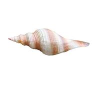 XIAOLULU-Garden Garden Welcome Sculpture Garden Ornament Shell Decor Weatherproof for Outdoor Use (Colour : Natural Colour, Size : D)