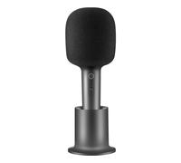 Karaoke Microphone