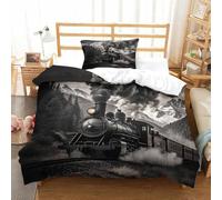 XiaopangXY 3D Printed Steam Train Bedding Set 3 Pcs Comforter Cover with Hidden Zipper Choochoo Pattern Quilt Cover Microfiber Duvet Cover with Pillowcase Single（135x200cm）