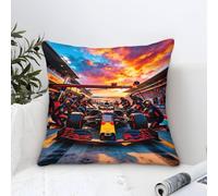 XiaopangXY Formulaa Racing Cushion Cover 3D Pattern, 40x40cm Pillow Cover Pit Stop Ornament Decor for Home Livingroom Couch Bed Sofa Decorate Throw Pillow Case Elephant Gift
