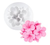 XIAOSHUI Plumeria Candle Mould Frangipani Flower Silicone Mould Flower Resin Casting Moulds for Candle Making Resin Aromatherapy Gypsum Wax Soap Clay Craft