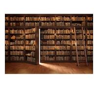 Xiaoterna 10x6.5ft Vintage Bookshelf Backdrop School Library Retro Bookcase Antique Books Photography Background Luxury Europe Medieval Library Bookcase Backdrop Kids Children Portrait Photo Props