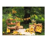 Xiaoterna 10x8ft Fresh Yellow Lemon Backdrop Garden Tree Summer Fruit Floral Nature Landscape Photography Background Fall Harvest Farm Outdoor Picnic Birthday Party Decoration Portrait Photo Props