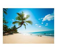 Xiaoterna 10x8ft Summer Beach Backdrop Blue Ocean Sunshine Photography Background Tropical Palm Tree Sand Holiday Travel Photo Backdrop Party Decoration Children Adults Portrait Photo Studio Props