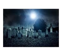 Xiaoterna 12x8ft Halloween Graveyard Backdrop Horror Night Scary Dark Graveyard Haunted Photography Background Tombstone Scene Gloomy Misty Woodland Stark Stark Landscape Halloween Party Decorations