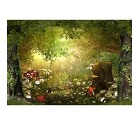 Xiaoterna 15x10ft Fairy Tale Mushroom Garden Photography Backdrop, Enchanted Forest, Woodland Fantasy, Spring, Birthday Party Decoration, Kids & Adults Portrait Photo Props
