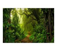 Xiaoterna 15x10ft Tropical Jungle Forest Backdrop Fairytale Woods Sunlight Photography Background Spring Enchanted Forest Backdrop Birthday Party Decor Kids Portrait Shooting Studio Props