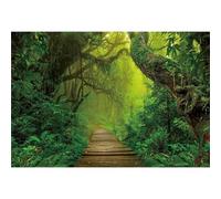 Xiaoterna 15x8ft Forest Backdrop Spring Jungle Safari Natural Scenery Photography Background Jungle Rainforest Woods Old Trees Sunshine Backdrop Adults Kids Portrait Photo Studio Props
