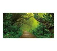 Xiaoterna 20x10ft Forest Backdrop Spring Jungle Safari Natural Scenery Photography Background Jungle Rainforest Woods Old Trees Sunshine Backdrop Adults Kids Portrait Photo Studio Props