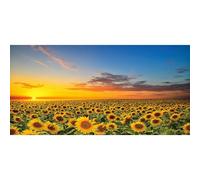 Xiaoterna 20x10ft Sunflower Field Backdrop Spring Natural Scenery Backdrop Blossoming Yellow Sunflowers Blue Sky Nature Background Birthday Party Decoration Kids Adults Portrait Photo Studio