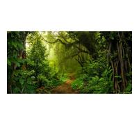 Xiaoterna 20x10ft Tropical Jungle Forest Backdrop Fairytale Woods Sunlight Photography Background Spring Enchanted Forest Backdrop Birthday Party Decor Kids Portrait Shooting Studio Props