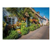 Xiaoterna 5x3ft Europe Town Backdrop Colorful Blooming Flowers Street Photography Background Spring Scenery Country Cottage Path Backdrop Wedding Baby Shower Children Adults Portrait Photo Props