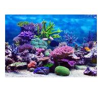 Xiaoterna 5x3ft Fish Tank Backdrop Underwater Marine Life Aquarium Photography Background Colorful Coral Reef Fish Floral Backdrop Party Decoration Kids Adult Artistic Photo Studio Props