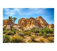 Xiaoterna 7x5ft Desert Backdrop Joshua Tree National Park Sandstone Rock Desert Cactus Photography Background Arid Barren Desert Terrarium Backdrop Children Adults Artistic Portrait Photo Props