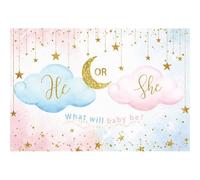 Xiaoterna 7x5ft Gender Reveal Backdrop Gold Grain Speckle Pink and Blue Cloud What Will Baby Be Photography Background Gold Star Moon Newborn Gender Reveal Backdrop Gender Reveal Party Decoration