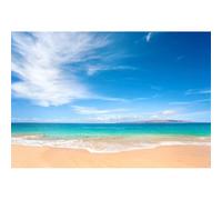 Xiaoterna 7x5ft Tropical Beach Backdrop Summer Blue Ocean Sand Photography Background Blue Sky White Cloud Waves Seawater Nature Birthday Party Decorations Kids Adults Portrait Photo Booth Props