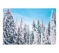 Xiaoterna 7x5ft Winter Snow Scene Backdrops Winter Landscape Forest Sky Christmas Party Backdrop Pine Tree Landscape Party Decoration White World Christmas Kids Holiday Party Decoration