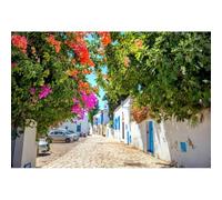 Xiaoterna 8x6ft Europe Town Backdrop Europe Travel Countryside Street Photography Background Summer Flower Street White Building Backdrop Wedding Baby Shower Children Adults Portrait Photo Props