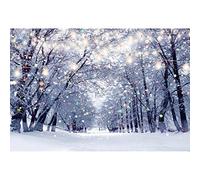 Xiaoterna 8x6ft Winter Snow Scene Backdrops Wonderland Snowflake Colorful Glitter Snowy Forest Backdrop Christmas Party Bokeh Backdrop White World Christmas Kids Holiday Party Decoration