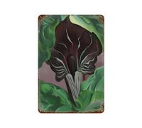 xiaoxiaoshen American Artist Georgia O'Keeffe (33) Wall Decor Art Metal Tin Poster Modern Home Decor Art Home Bar Shop Decorations Vintage Sign 30x20cm
