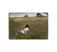 xiaoxiaoshen Andrew Wyeth Neo Realist (10) Wall Decor Art Metal Tin Poster Modern Home Decor Art Home Bar Shop Decorations Vintage Sign 20x30cm