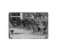 xiaoxiaoshen German Shepherds Staring at Cat Wall Decor Art Metal Tin Poster Modern Home Decor Art Home Bar Shop Decorations Vintage Sign 20x30cm
