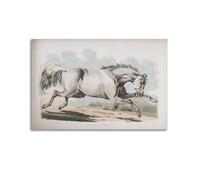 xiaoxiaoshen Vintage White Horse Henry Alken Sporting Canvas Poster Wall Art Prints Room Aesthetic Murals Bedroom And Living Decorations 12x18inch(30x45cm)