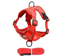XIAOXIAOYU Cat Harness, Harness for Cats, Walking Harness and Lead for Kittens, Easy to Control Anti-Escape Cat Harness, Reflective Cat Harness and Lead for Walks in