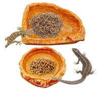 XIAOXIAOYU Hermit Crab Water Bowl, Reptile Feeding Bowl | Resin Reptile Feeding Tray 2 Pieces - Reptile Water Bowls, Food Bowl for Snail, Bearded Dragon, Hermit Crab, Turtle