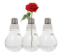 Xiaoxin Glass Light Bulb Planter | Light Bulb Water Planter | Transparent Air Plant Vase Modern Planter Bulb Vase For Modern Home Decoration