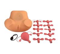 Xiaoxu Female Gynecological Manikin Model,Female Reproductive Organs Model,Life Size Gynecologic Pathology Model With Replaceable Uterus Model Suitable,Child Birth Simulator Childbirth Demonstration